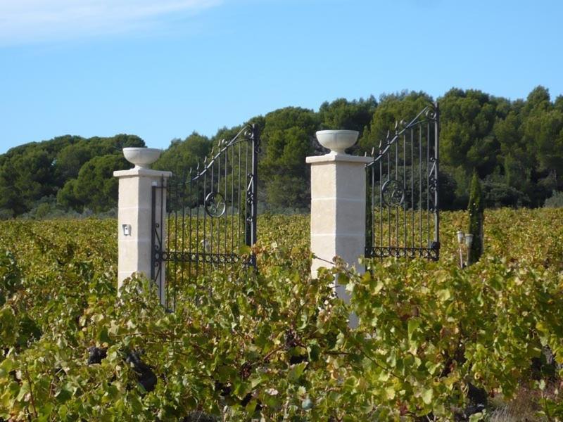 Château de Valloubière Saint-Jean-de-Fos Esterno foto