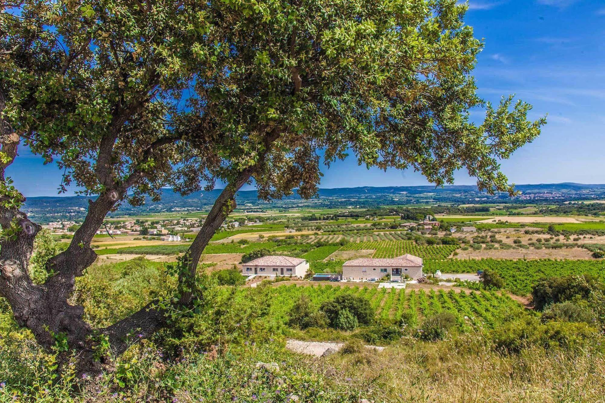 Château de Valloubière Saint-Jean-de-Fos Esterno foto